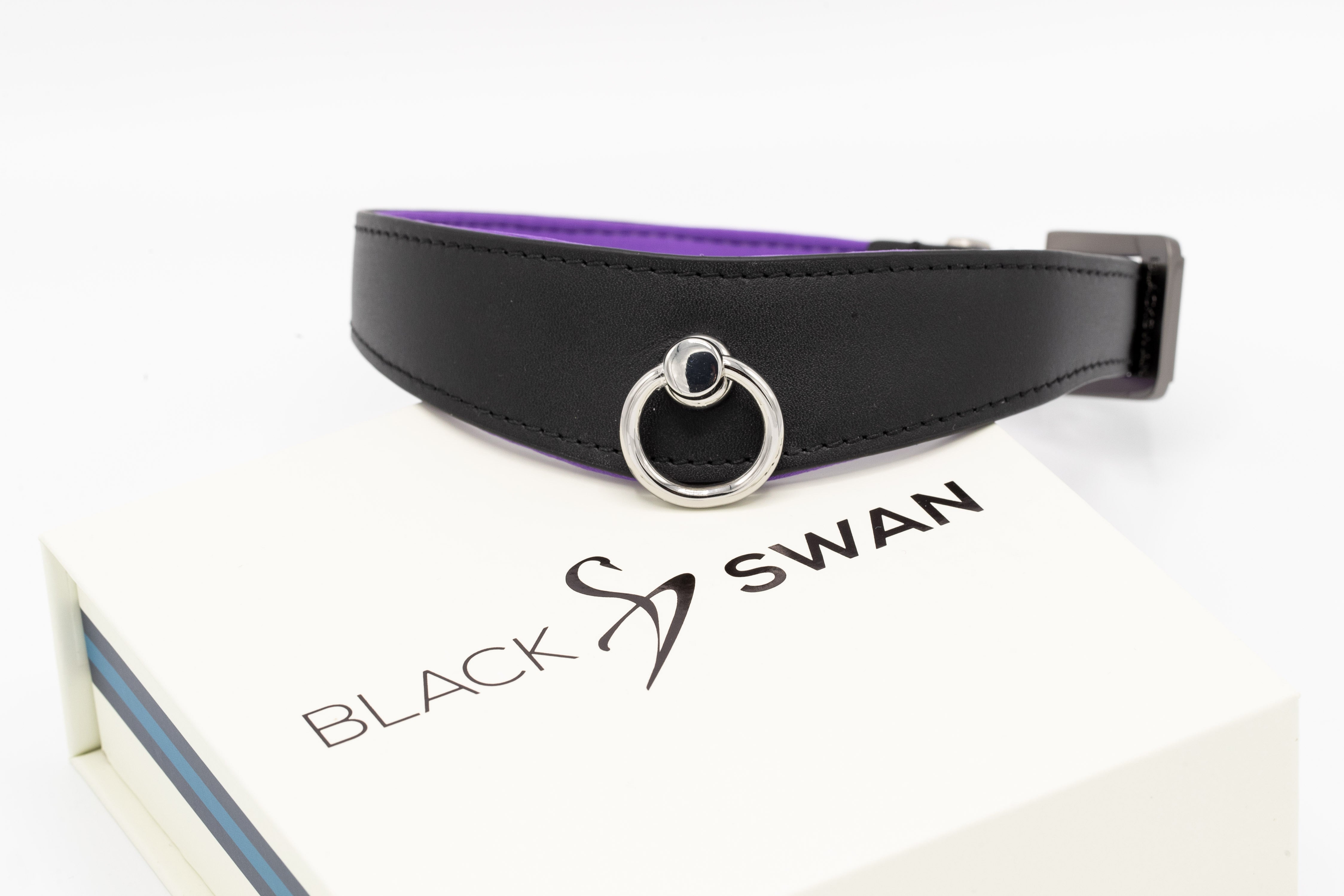 Black Swan Collars Black Purple